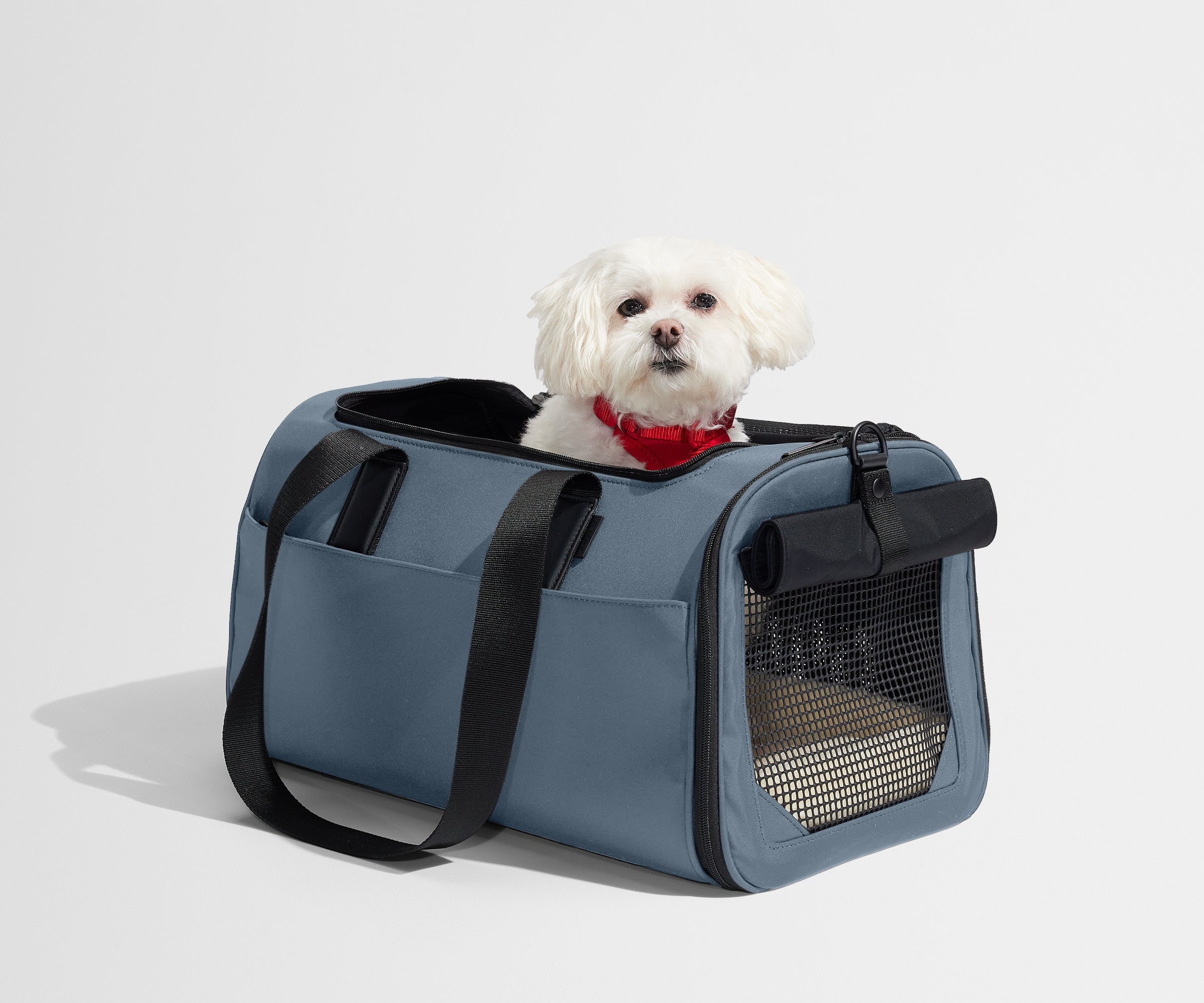 PDP_PetCarrier_Coast_06.jpg